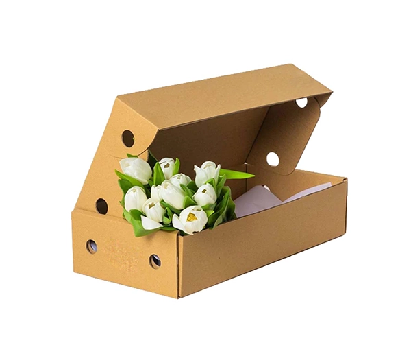 Flower Shipping Boxes