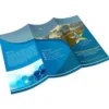 8.5 x 11 Brochures