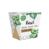 Custom Basil Seeds Boxes
